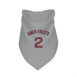 Boston Red Sox Isiah Kiner-Falefa Gray Pet Bandana for Dog & Cat