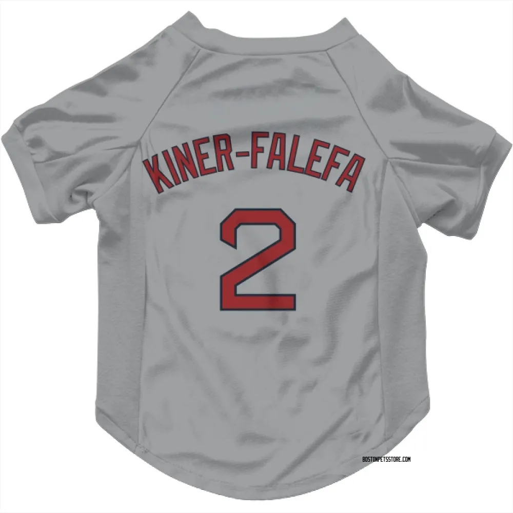 Boston Red Sox Isiah Kiner-Falefa Gray Pet Jersey for Dog & Cat