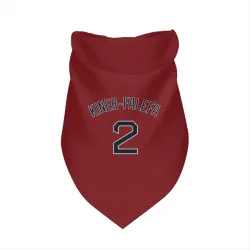 Boston Red Sox Isiah Kiner-Falefa Red Pet Bandana for Dog & Cat
