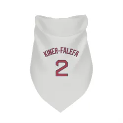 Boston Red Sox Isiah Kiner-Falefa White Pet Bandana for Dog & Cat
