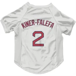 Boston Red Sox Isiah Kiner-Falefa White Pet Jersey for Dog & Cat