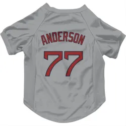 Boston Red Sox Jack Anderson Gray Pet Jersey for Dog & Cat