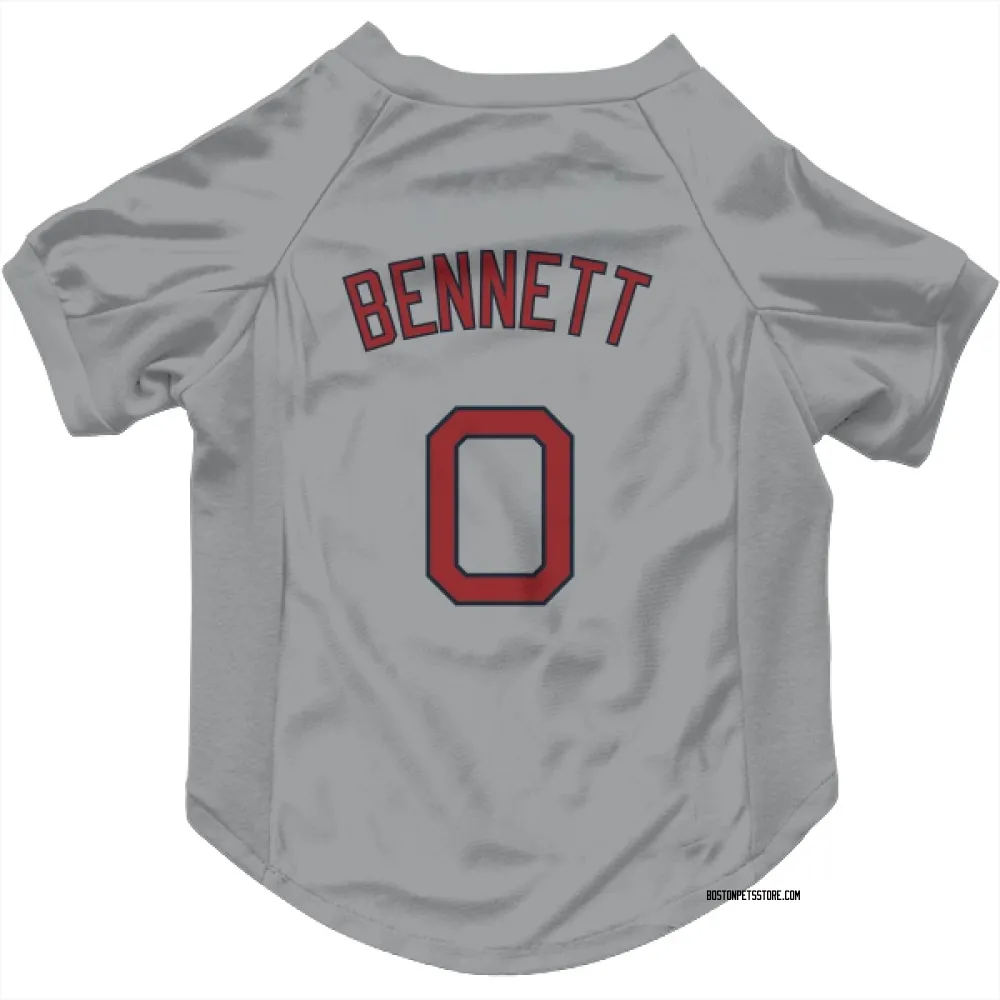 Boston Red Sox Jake Bennett Gray Pet Jersey for Dog & Cat