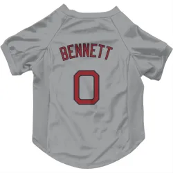 Boston Red Sox Jake Bennett Gray Pet Jersey for Dog & Cat