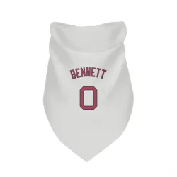 Boston Red Sox Jake Bennett White Pet Bandana for Dog & Cat