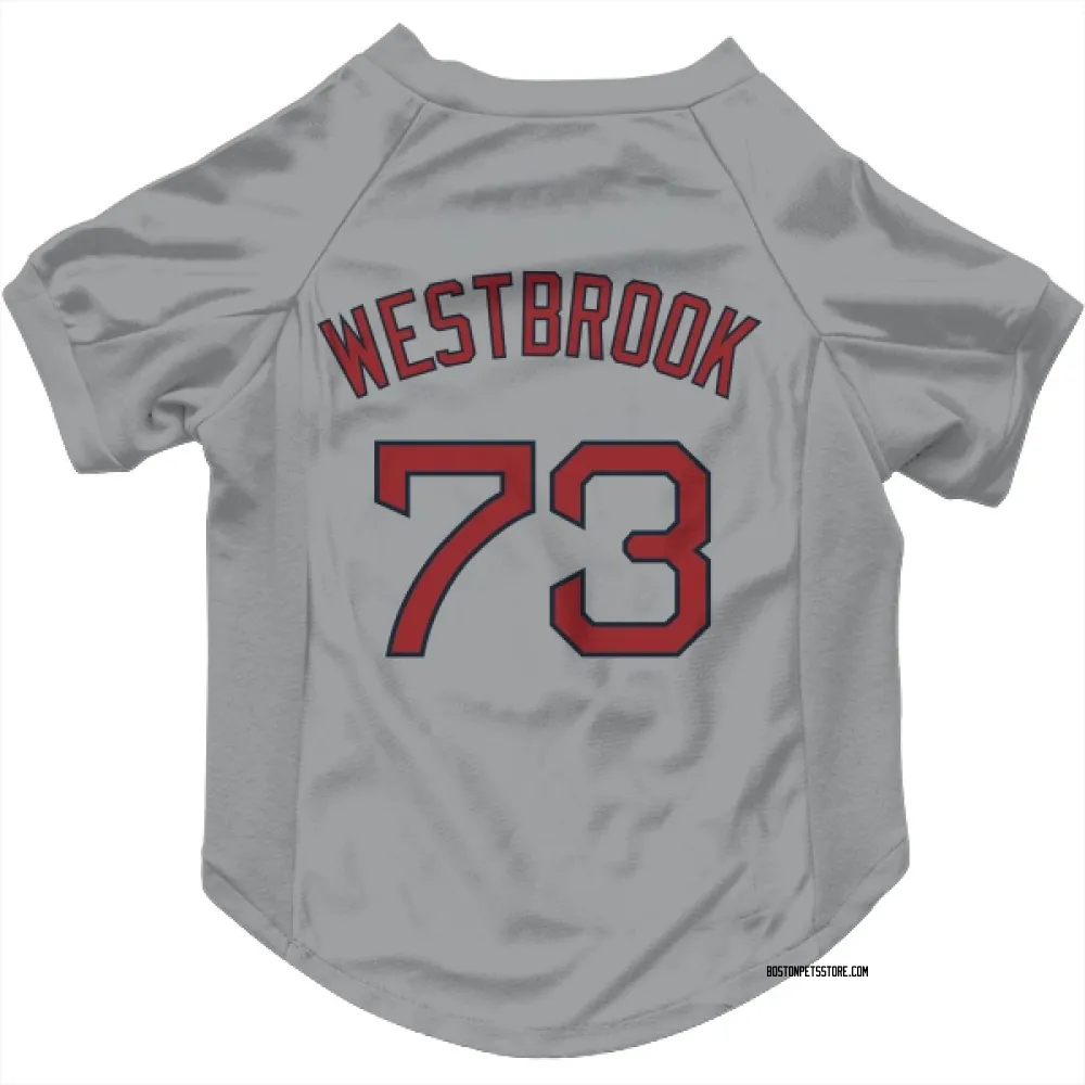 Boston Red Sox Jamie Westbrook Gray Pet Jersey for Dog & Cat