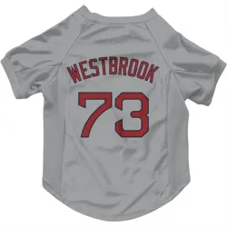 Boston Red Sox Jamie Westbrook Gray Pet Jersey for Dog & Cat
