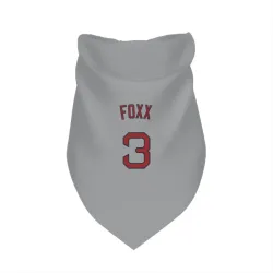 Boston Red Sox Jimmie Foxx Gray Pet Bandana for Dog & Cat