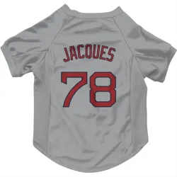 Boston Red Sox Joe Jacques Gray Pet Jersey for Dog & Cat