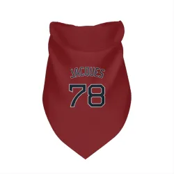 Boston Red Sox Joe Jacques Red Pet Bandana for Dog & Cat