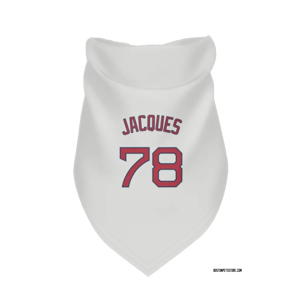 Boston Red Sox Joe Jacques White Pet Bandana for Dog & Cat