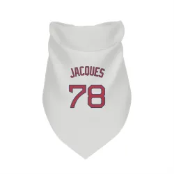 Boston Red Sox Joe Jacques White Pet Bandana for Dog & Cat