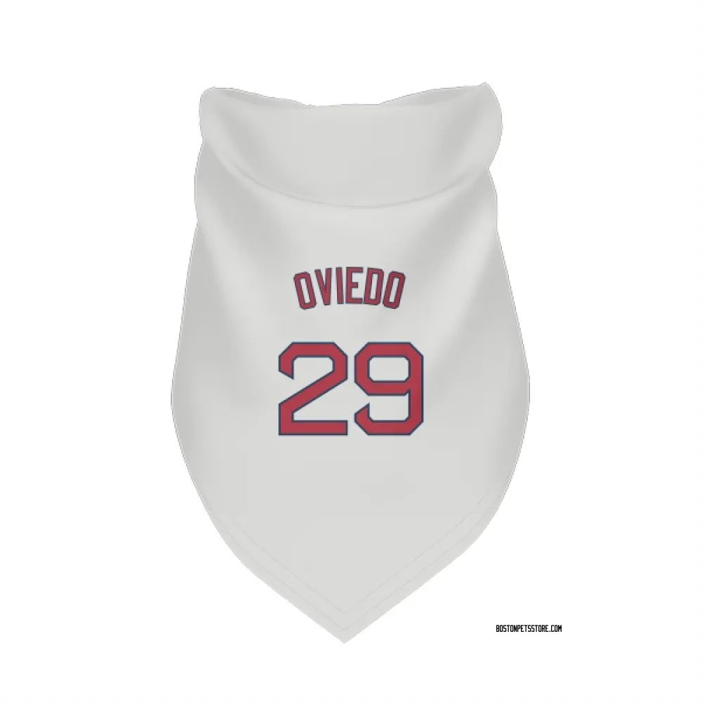 Boston Red Sox Johan Oviedo White Pet Bandana for Dog & Cat