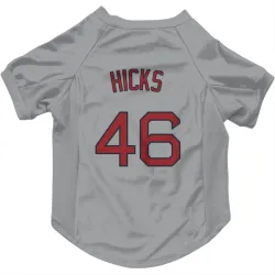 Boston Red Sox Jordan Hicks Gray Pet Jersey for Dog & Cat