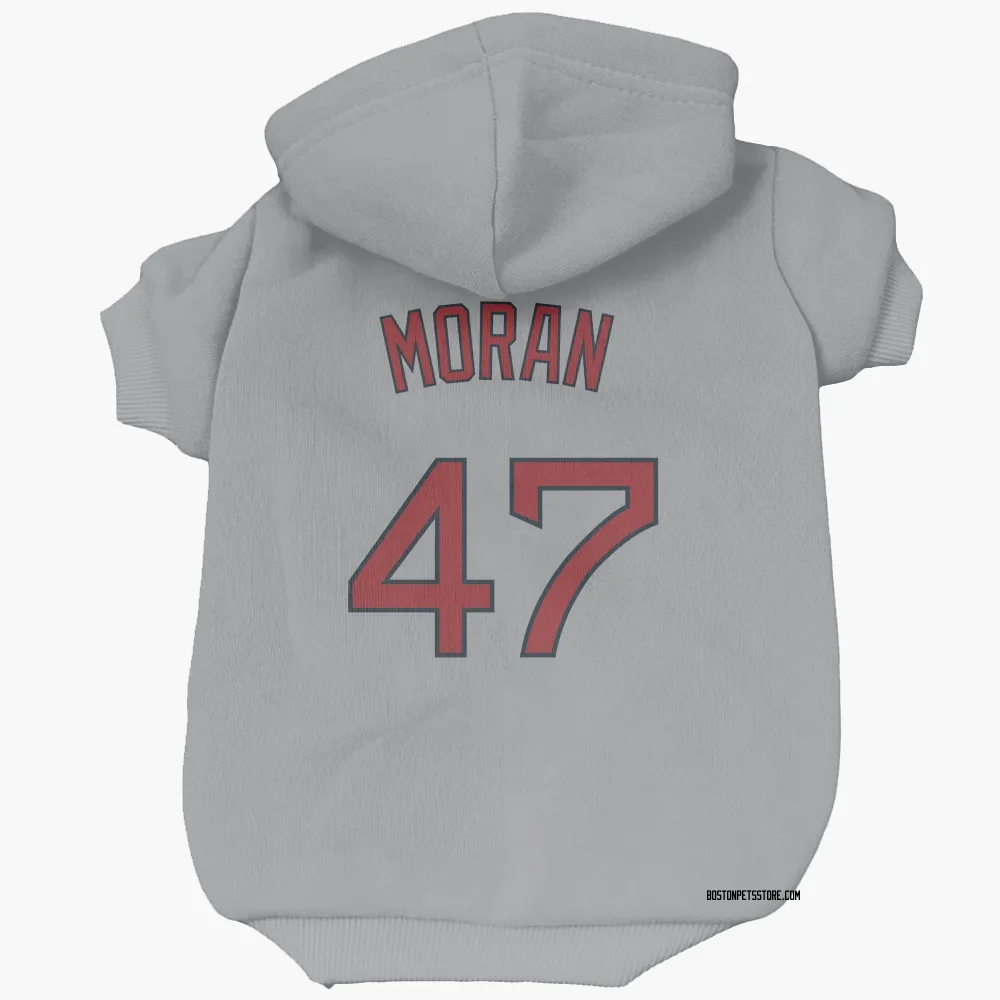 Boston Red Sox Jovani Moran Gray Pet Hoodie for Dog & Cat