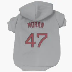 Boston Red Sox Jovani Moran Gray Pet Hoodie for Dog & Cat