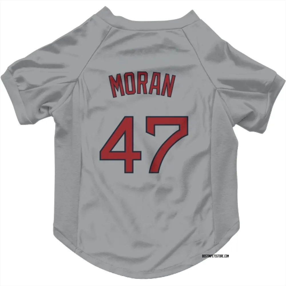 Boston Red Sox Jovani Moran Gray Pet Jersey for Dog & Cat