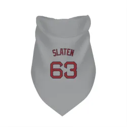 Boston Red Sox Justin Slaten Gray Pet Bandana for Dog & Cat