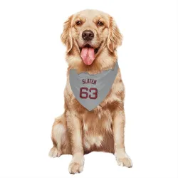 Boston Red Sox Justin Slaten Gray Pet Bandana for Dog & Cat