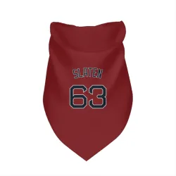 Boston Red Sox Justin Slaten Red Pet Bandana for Dog & Cat