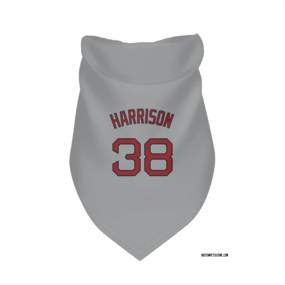 Boston Red Sox Kyle Harrison Gray Pet Bandana for Dog & Cat