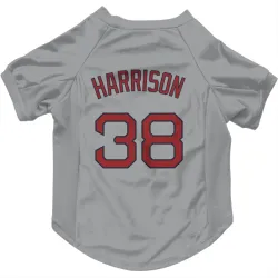 Boston Red Sox Kyle Harrison Gray Pet Jersey for Dog & Cat