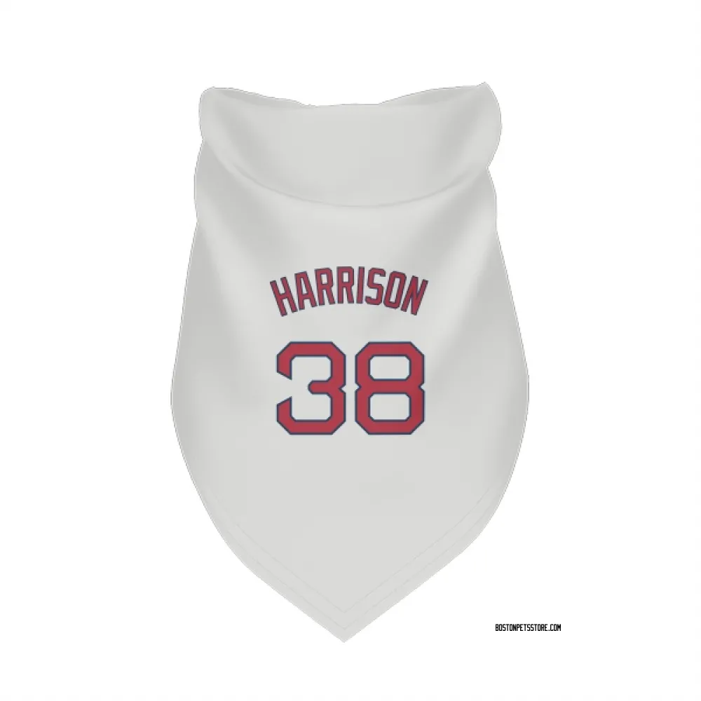 Boston Red Sox Kyle Harrison White Pet Bandana for Dog & Cat