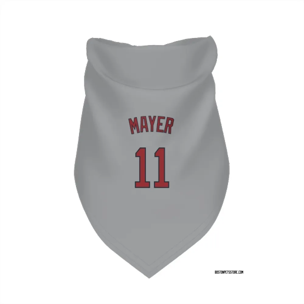 Boston Red Sox Marcelo Mayer Gray Pet Bandana for Dog & Cat