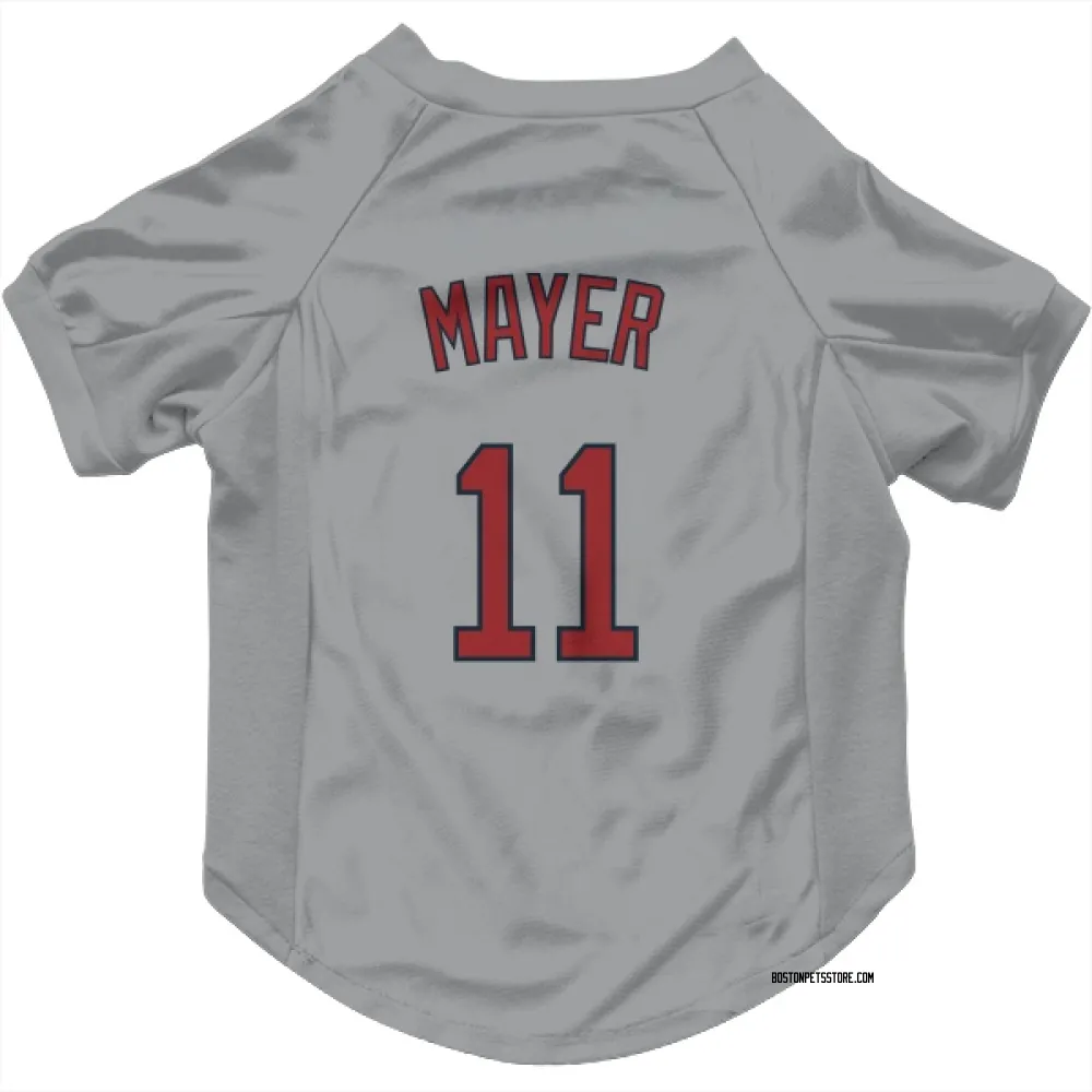 Boston Red Sox Marcelo Mayer Gray Pet Jersey for Dog & Cat
