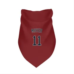 Boston Red Sox Marcelo Mayer Red Pet Bandana for Dog & Cat