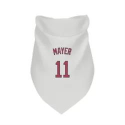 Boston Red Sox Marcelo Mayer White Pet Bandana for Dog & Cat