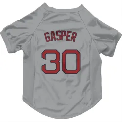 Boston Red Sox Mickey Gasper Gray Pet Jersey for Dog & Cat