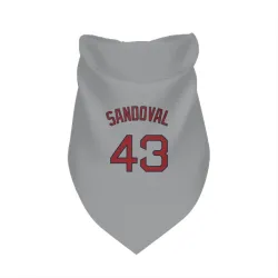 Boston Red Sox Patrick Sandoval Gray Pet Bandana for Dog & Cat