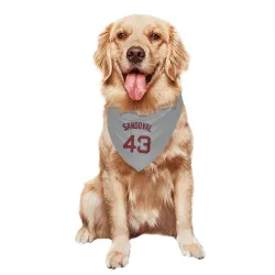 Boston Red Sox Patrick Sandoval Gray Pet Bandana for Dog & Cat