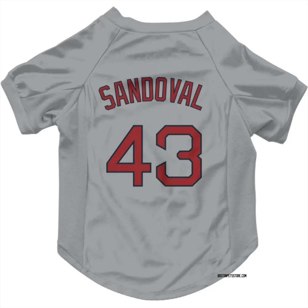 Boston Red Sox Patrick Sandoval Gray Pet Jersey for Dog & Cat