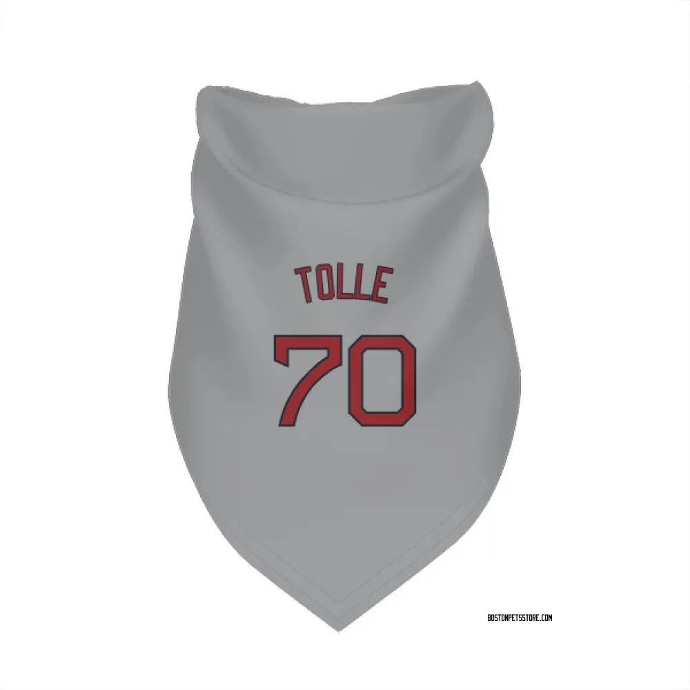 Boston Red Sox Payton Tolle Gray Pet Bandana for Dog & Cat