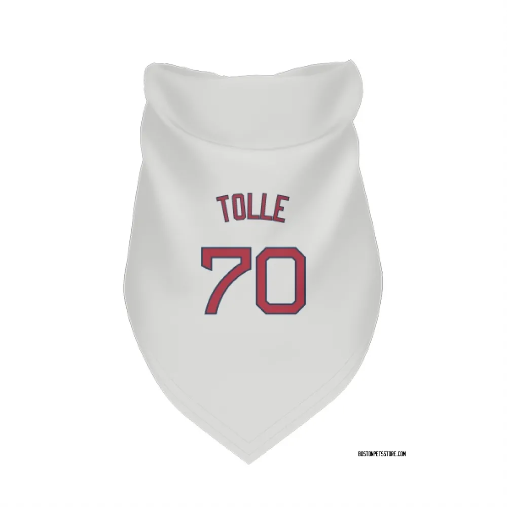 Boston Red Sox Payton Tolle White Pet Bandana for Dog & Cat