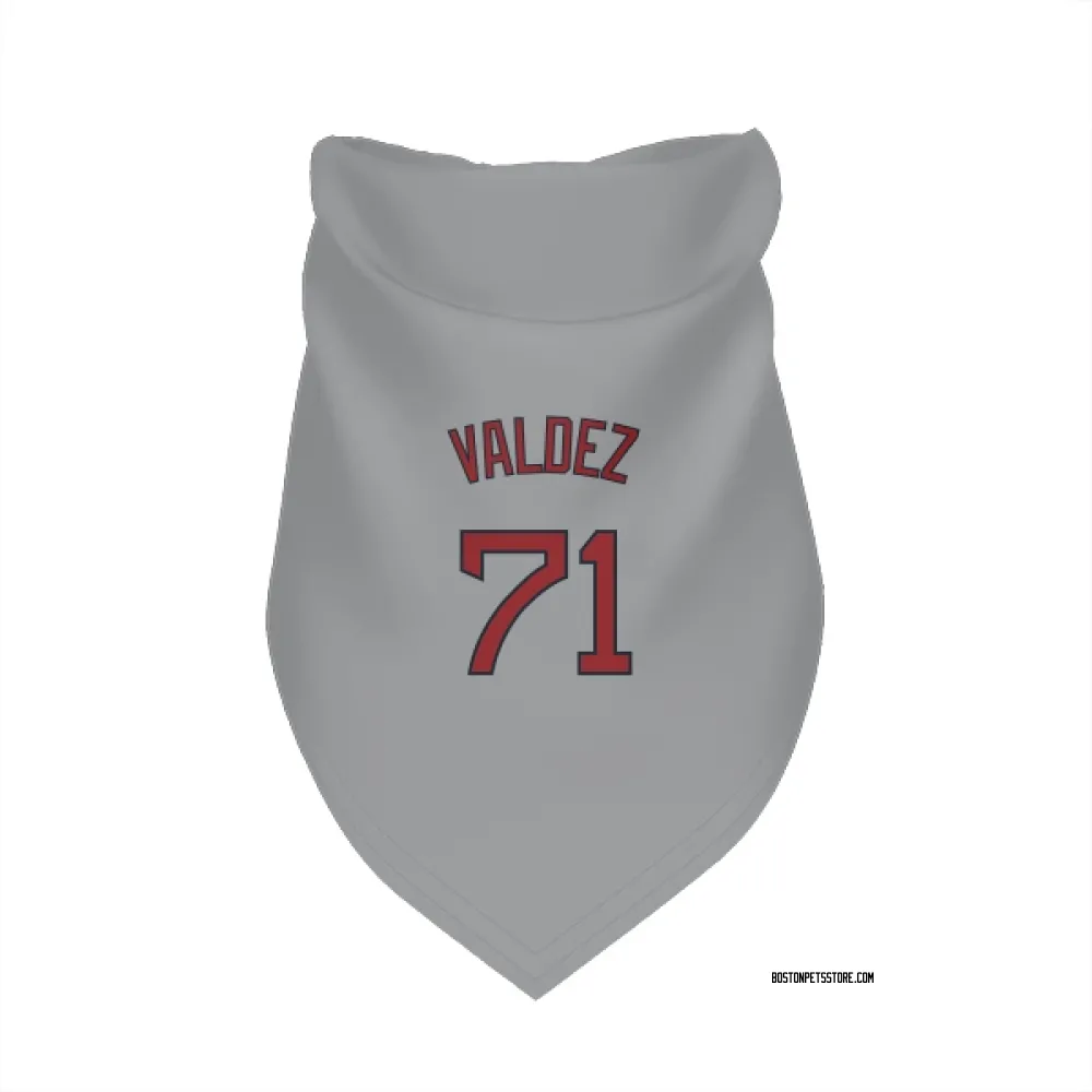 Boston Red Sox Phillips Valdez Gray Pet Bandana for Dog & Cat