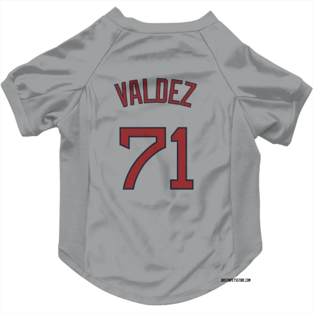 Boston Red Sox Phillips Valdez Gray Pet Jersey for Dog & Cat