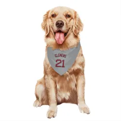 Boston Red Sox Roger Clemens Gray Pet Bandana for Dog & Cat