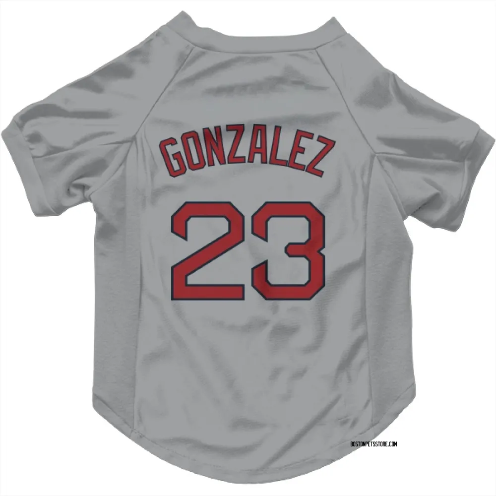 Boston Red Sox Romy Gonzalez Gray Pet Jersey for Dog & Cat