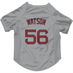 Boston Red Sox Ryan Watson Gray Pet Jersey for Dog & Cat