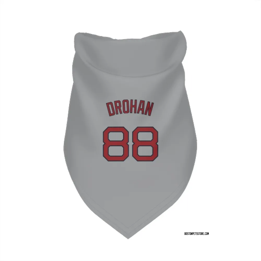 Boston Red Sox Shane Drohan Gray Pet Bandana for Dog & Cat