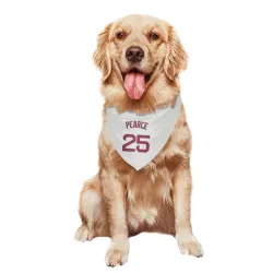 Boston Red Sox Steve Pearce White Pet Bandana for Dog & Cat