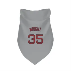 Boston Red Sox Steven Wright Gray Pet Bandana for Dog & Cat
