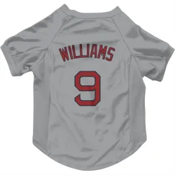 Boston Red Sox Ted Williams Gray Pet Jersey for Dog & Cat