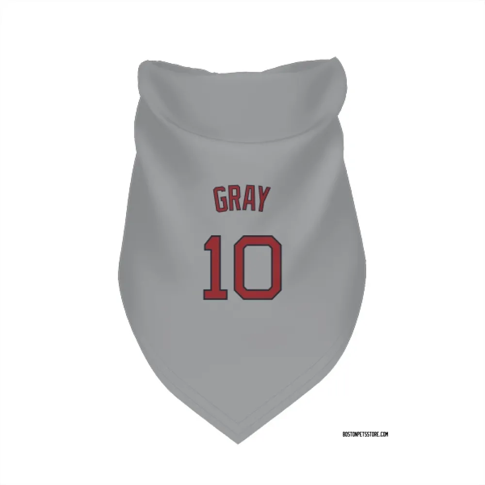 Boston Red Sox Tristan Gray Gray Pet Bandana for Dog & Cat
