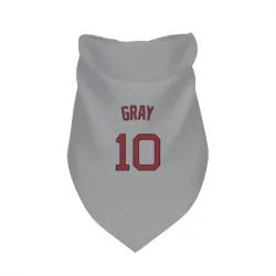 Boston Red Sox Tristan Gray Gray Pet Bandana for Dog & Cat