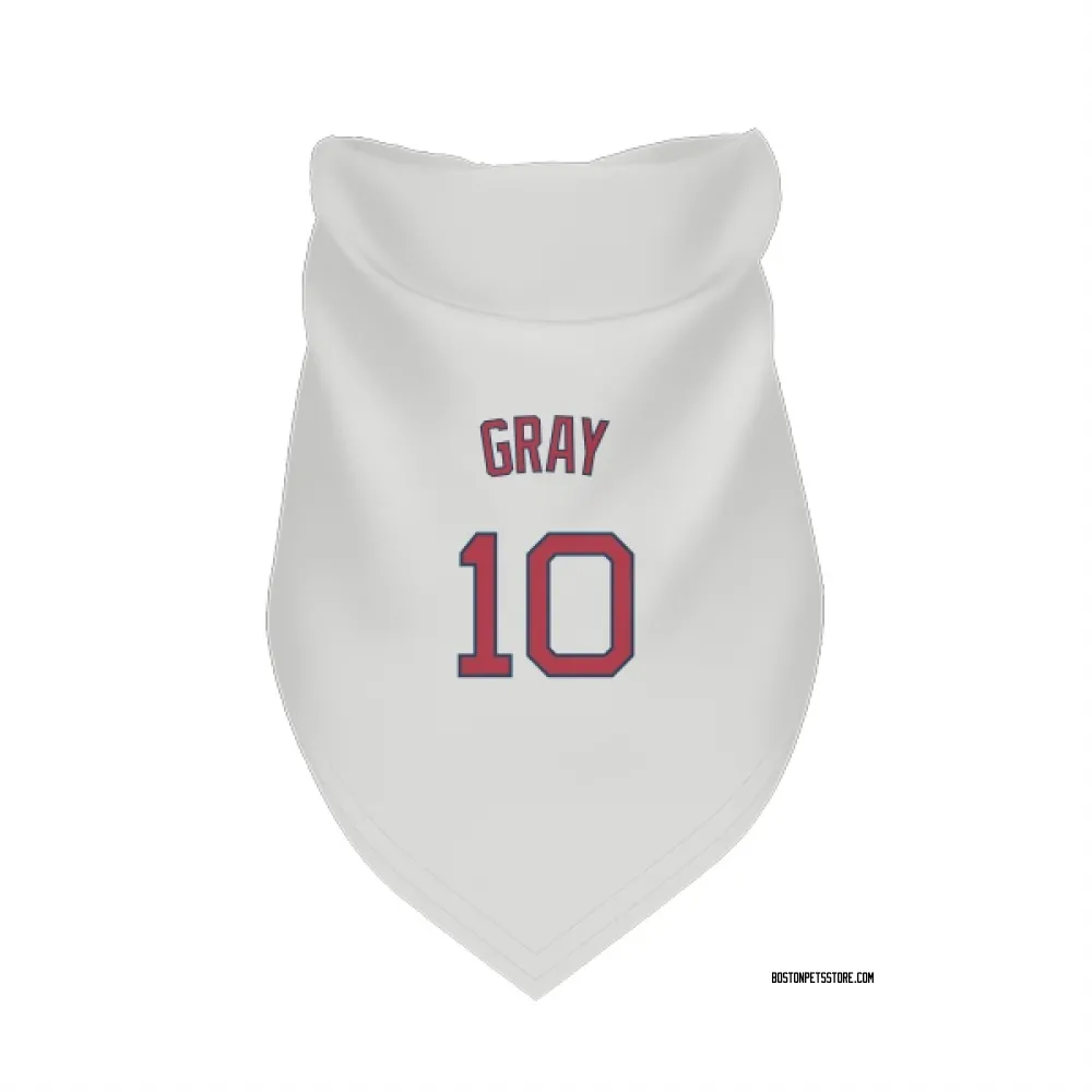 Boston Red Sox Tristan Gray White Pet Bandana for Dog & Cat