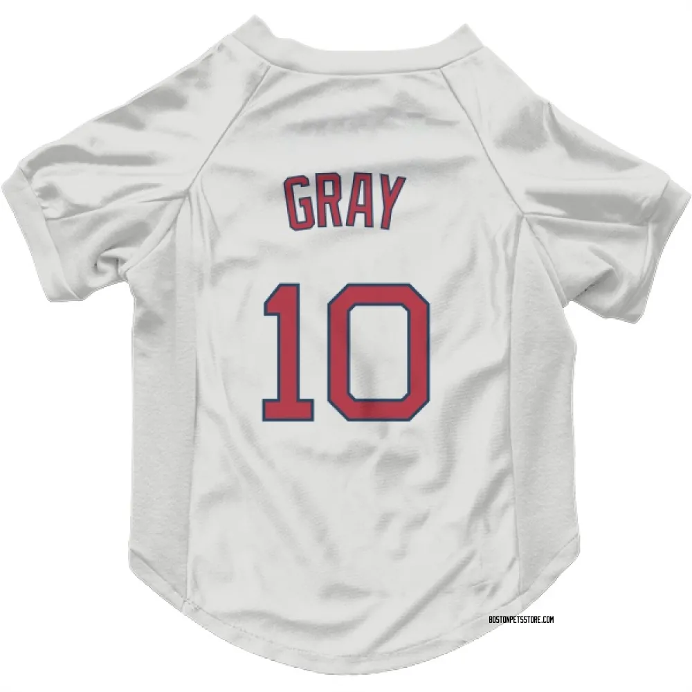 Boston Red Sox Tristan Gray White Pet Jersey for Dog & Cat
